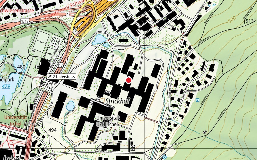 Mappa con la posizione di Physik-Institut (Scuola universitaria)