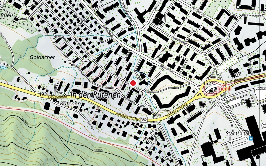 Carte indiquant l’emplacement de Mittag-/Abendhort Triemli 2 (École enfantine)