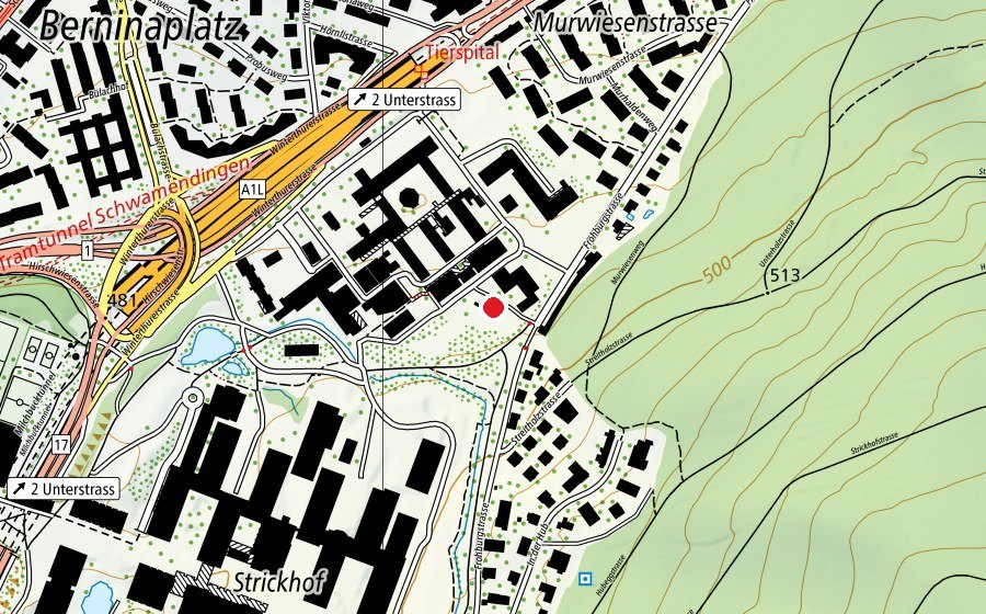 Karte mit dem Standort von kihz Tierspital (Kindertagesstätte)