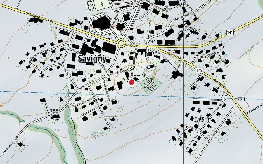 Mappa con la posizione di Ancien collège de Savigny (Scuola)