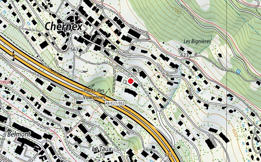 Map showing the location of Collège de Chernex (School)