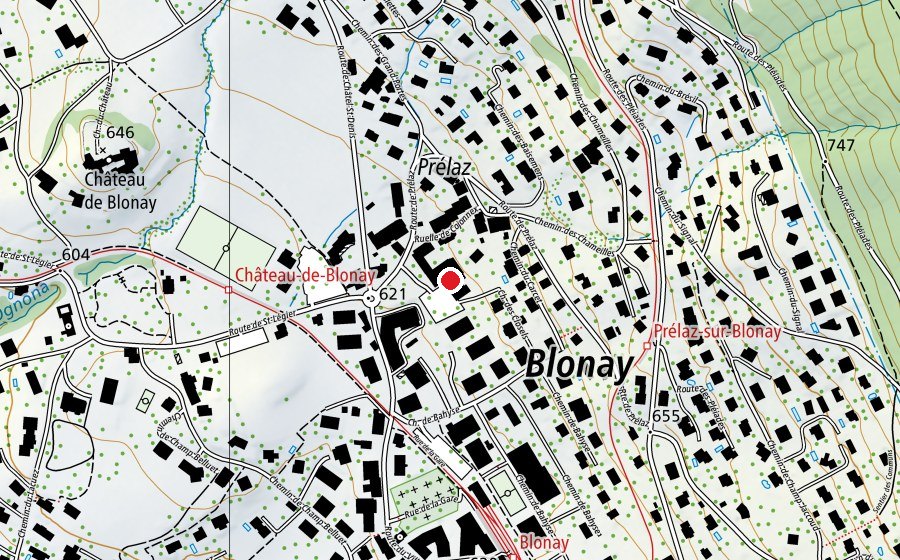 Carte indiquant l’emplacement de Collège de Cojonnex (École)