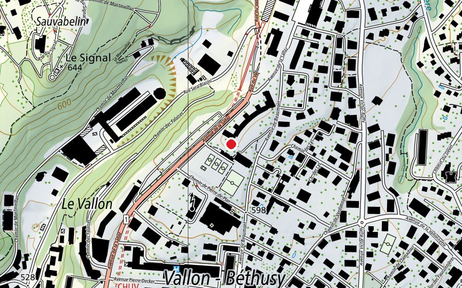 Mappa con la posizione di Collège de la Sallaz (Scuola)