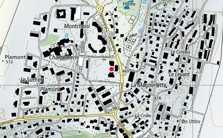 Mappa con la posizione di Collège de Montchoisi (Scuola)