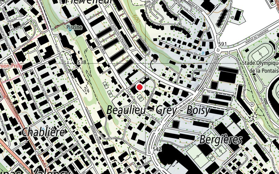 Carte indiquant l’emplacement de Collège de Pierrefleur (École)