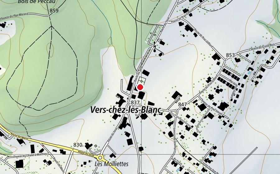 Mappa con la posizione di Collège de Vers-chez-les-Blanc (Scuola)