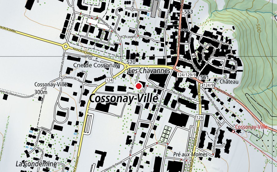 Carte indiquant l’emplacement de Collège des Chavannes (École)