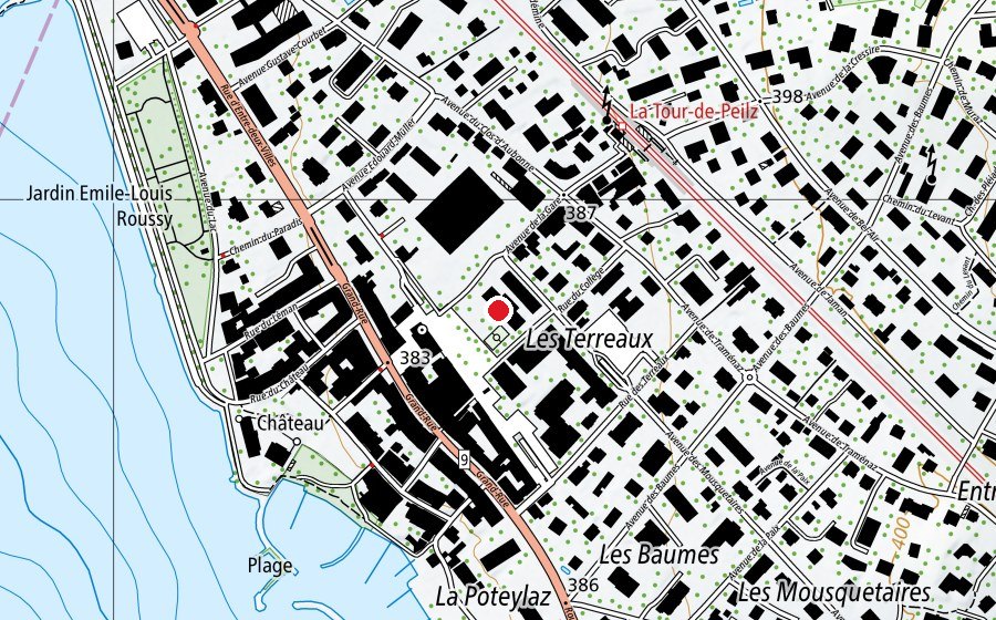 Mappa con la posizione di Collège des Marronniers (Scuola)