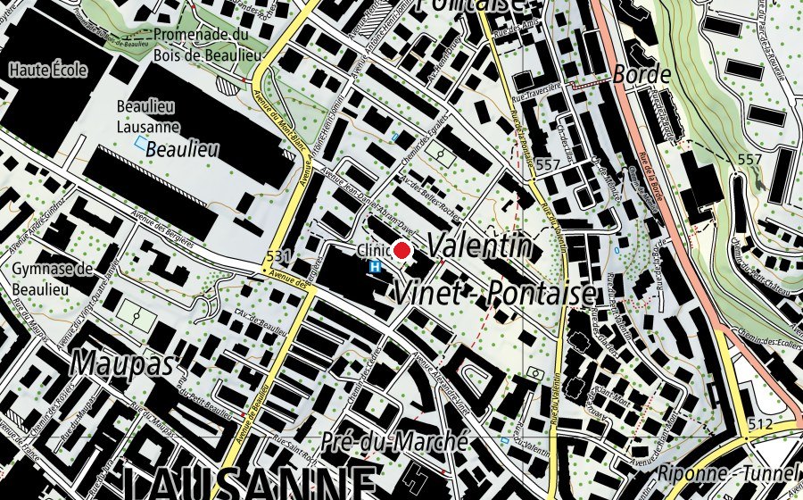 Karte mit dem Standort von École de soins infirmiers La Source (Schule)