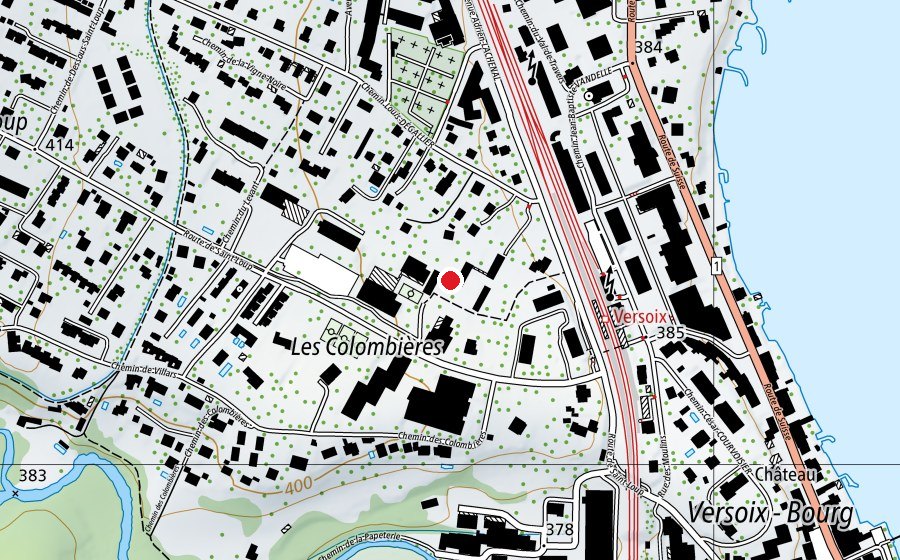 Mappa con la posizione di Ecole Lachenal (Scuola)