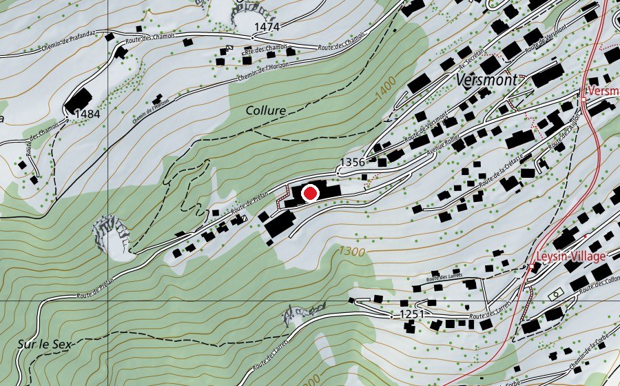 Karte mit dem Standort von Leysin American School (Schule)