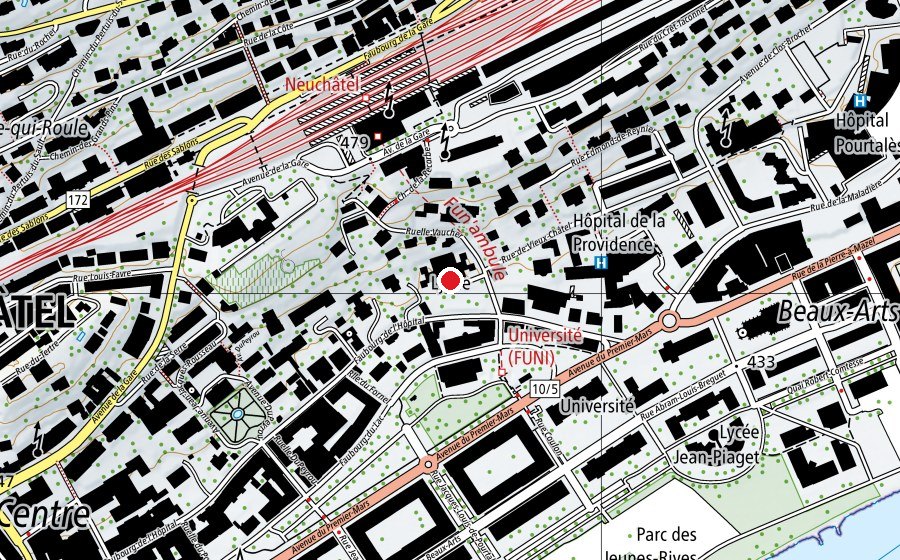 Mappa con la posizione di Lycée Denis-de-Rougemont (Scuola)