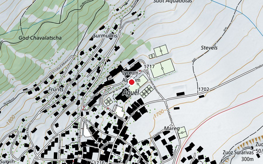 Map showing the location of Lyceum Alpinum Zuoz (School)