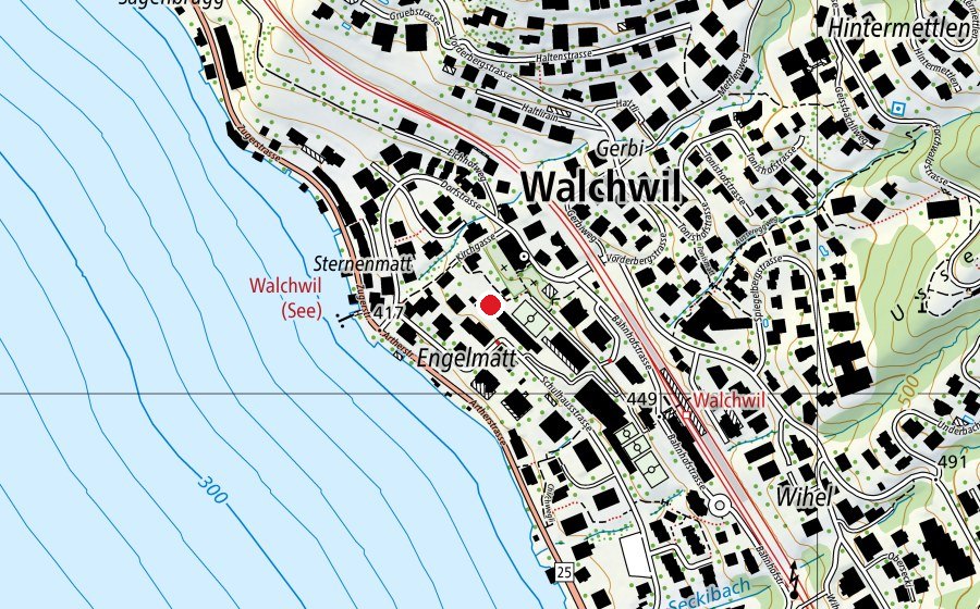 Mappa con la posizione di Musikschule Walchwil (Scuola)