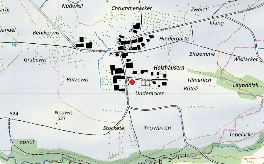 Carte indiquant l’emplacement de Primarschule Amlikon-Holzhäusern (École)