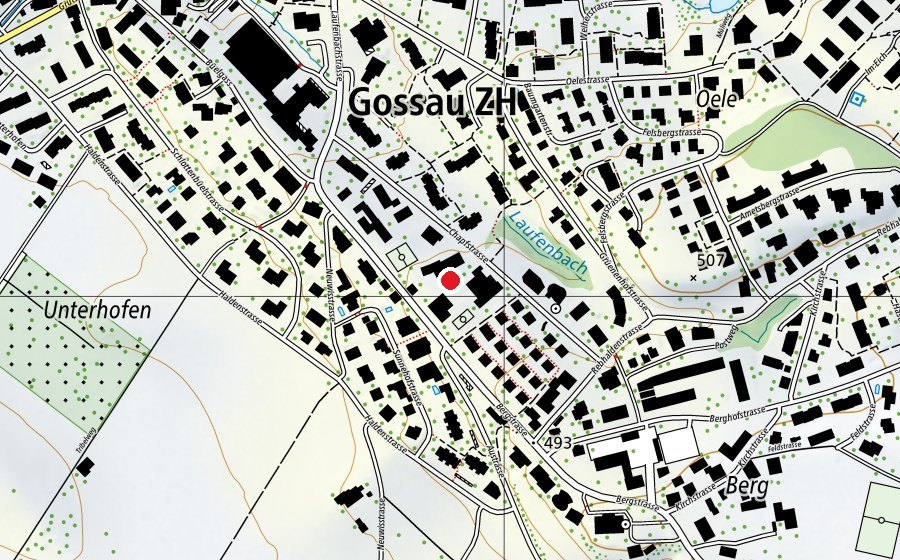 Mappa con la posizione di Primarschule Chapf (Scuola)
