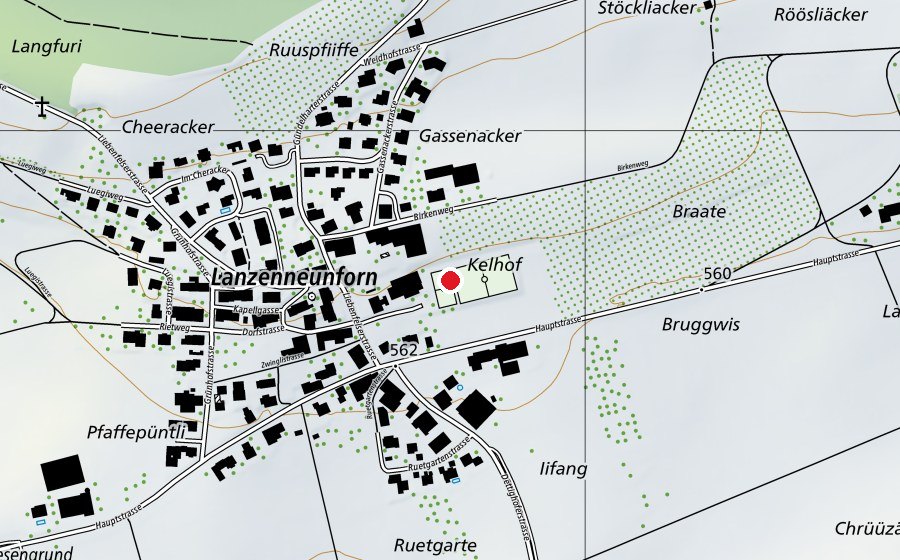 Mappa con la posizione di Primarschule Lanzenneunforn (Scuola)