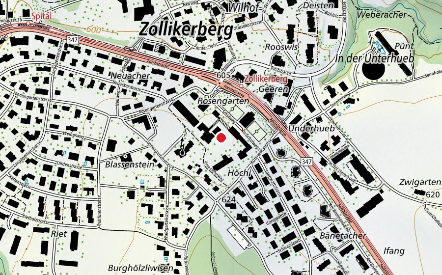 Mappa con la posizione di Primarschule Rüterwis (Scuola)