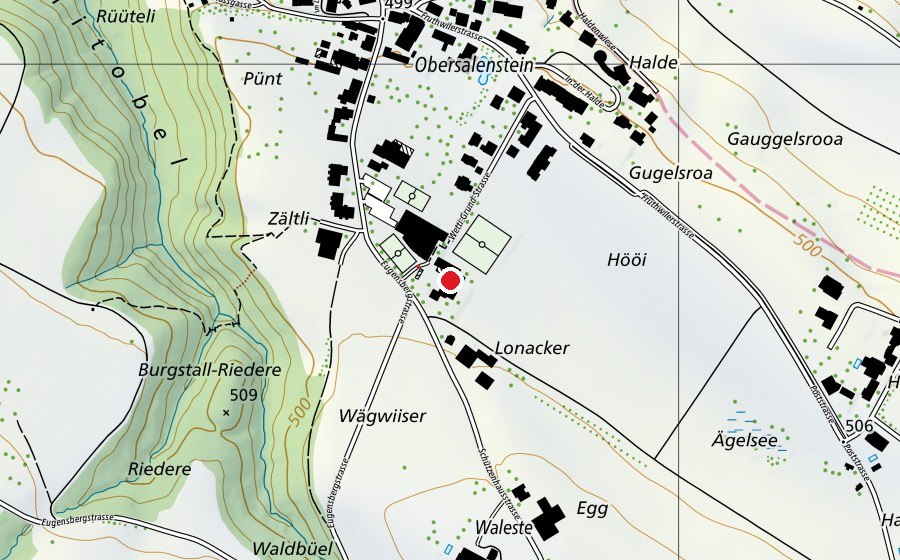 Mappa con la posizione di Primarschule Salenstein (Scuola)