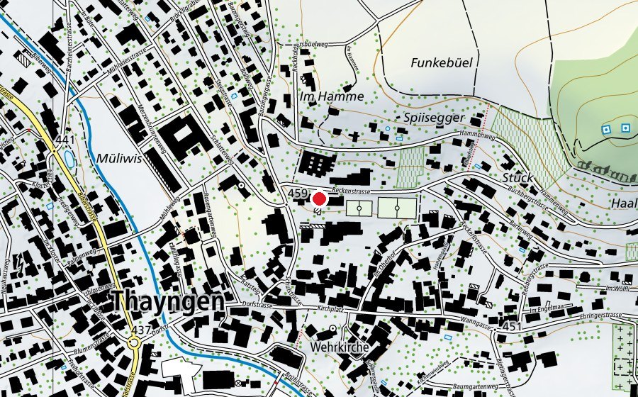 Mappa con la posizione di Reckenschulhaus (Scuola)
