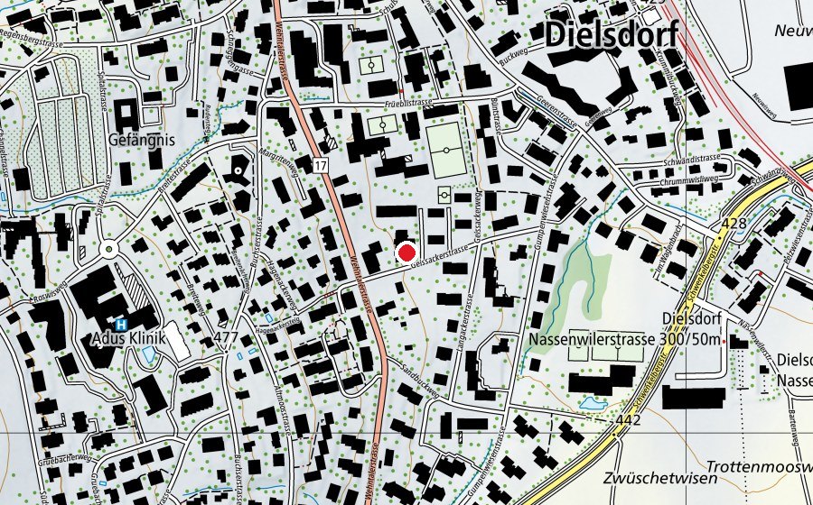 Mappa con la posizione di RgZ Heilpädagogische Schule Dielsdorf (Scuola)