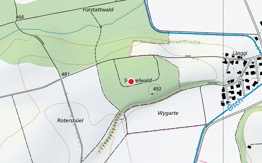 Mappa con la posizione di Schuelwäldli (Scuola)