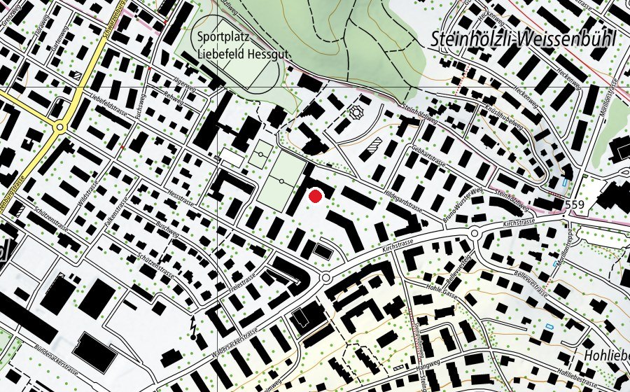 Karte mit dem Standort von Schule Liebefeld Steinhölzli (Schule)
