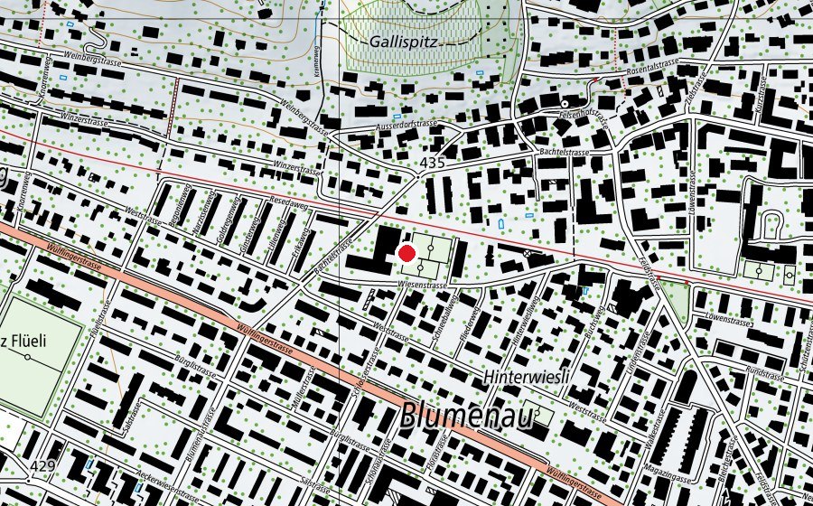 Map showing the location of Schule Wiesenstrasse (School)