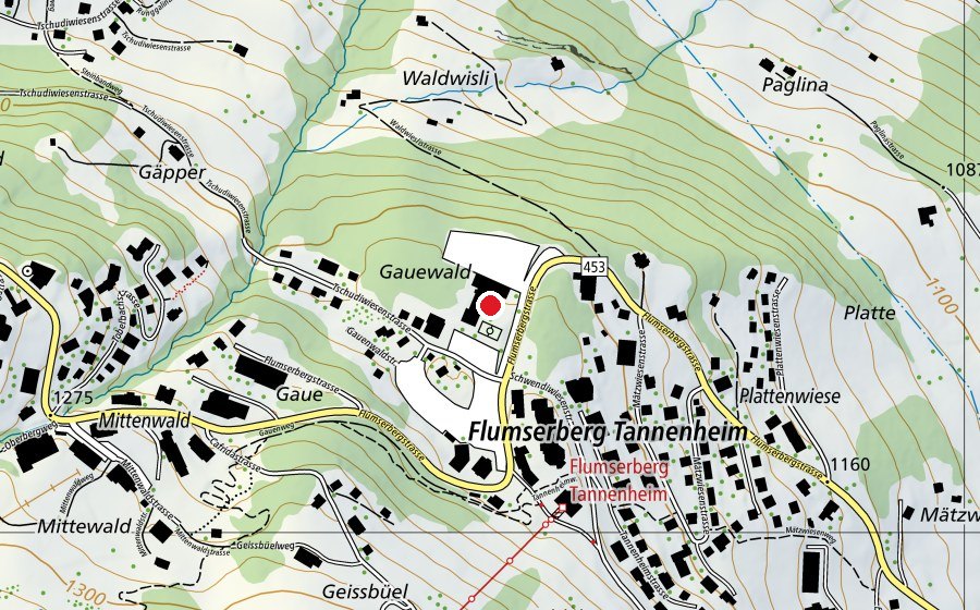 Mappa con la posizione di Schulhaus Gauenwald (Scuola)