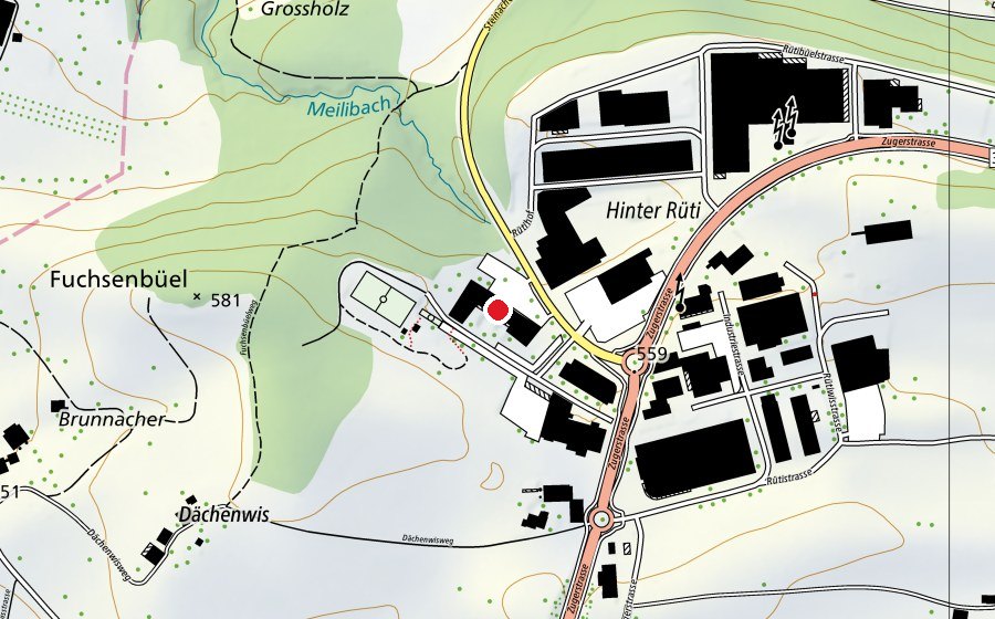 Karte mit dem Standort von Zurich International School (Schule)
