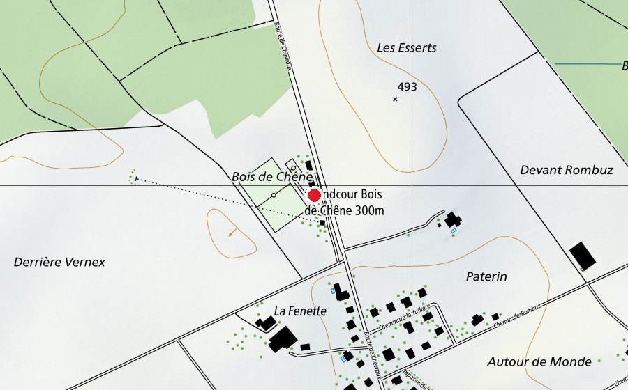 Mappa con la posizione di Place de jeux du Bois-de-Chênes (Parco giochi)