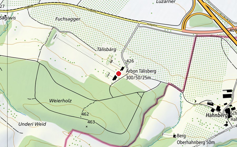 Carte indiquant l’emplacement de Arbon Tälisberg 300/50/25 m (Centre sportif)