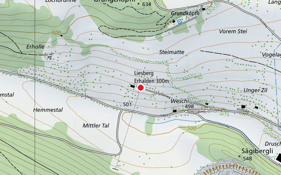Mappa con la posizione di Liesberg Erhalden 300 m (Centro sportivo)