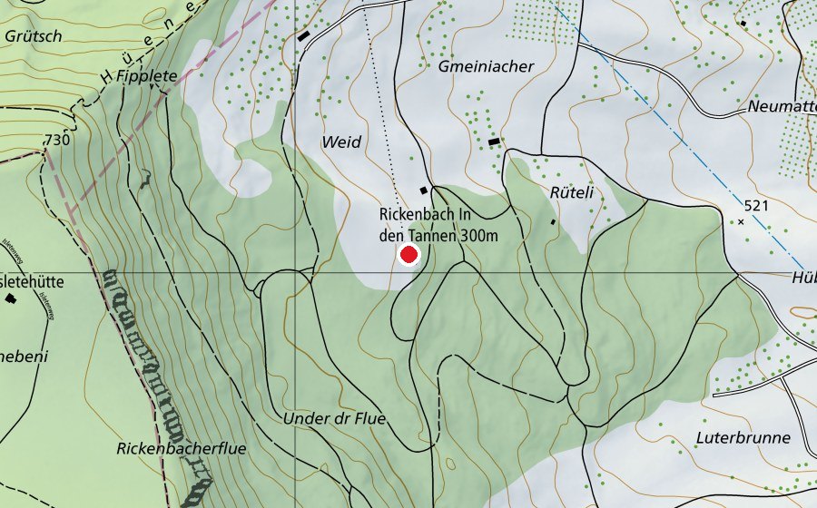 Mappa con la posizione di Rickenbach In den Tannen 300 m (Centro sportivo)