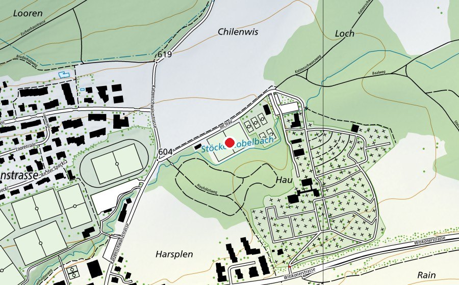Mappa con la posizione di Alter Fussballplatz Witikon Im Hau (Campo sportivo)