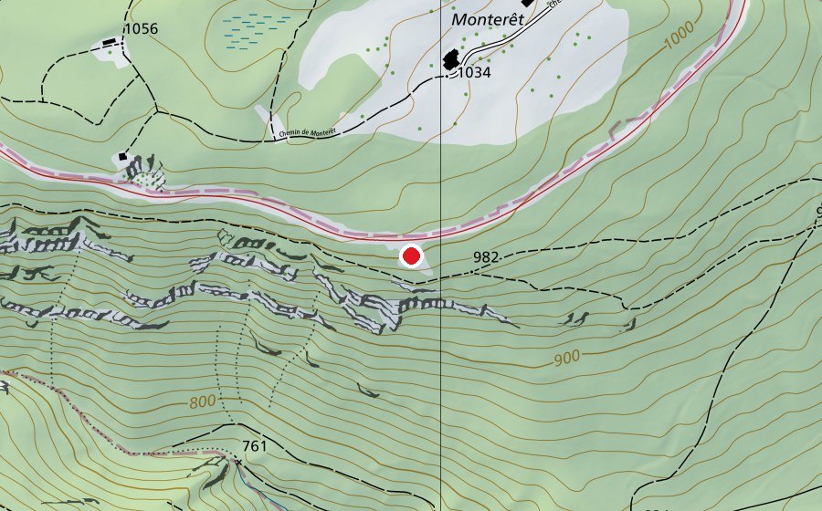 Carte indiquant l’emplacement de Saint-Cergue La Bosse (Terrain de sport)