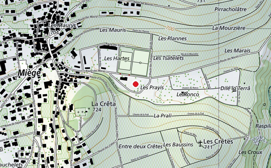 Karte mit dem Standort von Skatepark et pumptrack de Miège (Sportplatz)