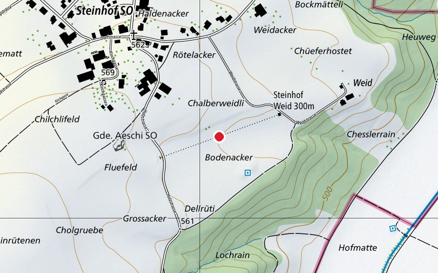 Mappa con la posizione di Steinhof Weid 300m (Campo sportivo)
