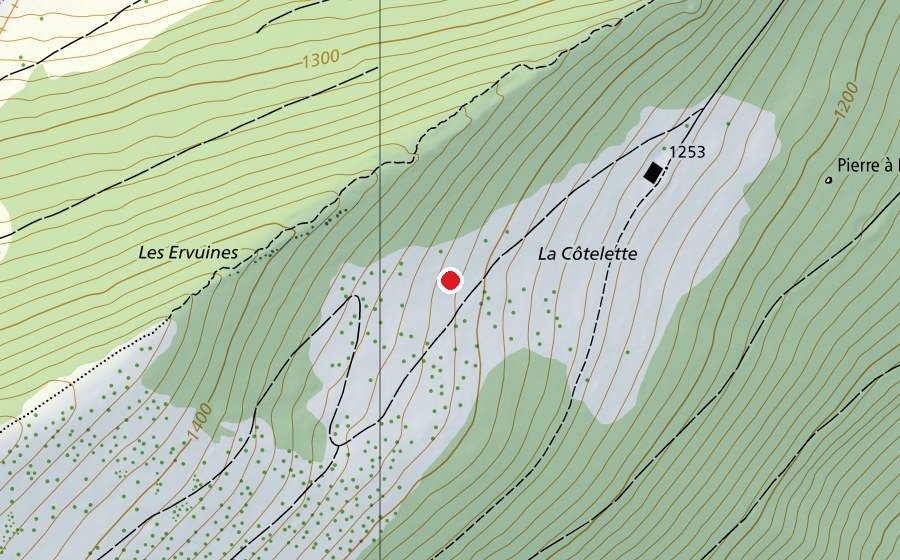 Carte indiquant l’emplacement de Suchet "Côtelette" (Terrain de sport)