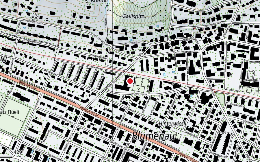 Mappa con la posizione di Turnhalle Wiesenstrasse (Campo sportivo)