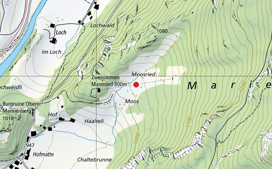 Carte indiquant l’emplacement de Zweisimmen Mannried 300m (Terrain de sport)